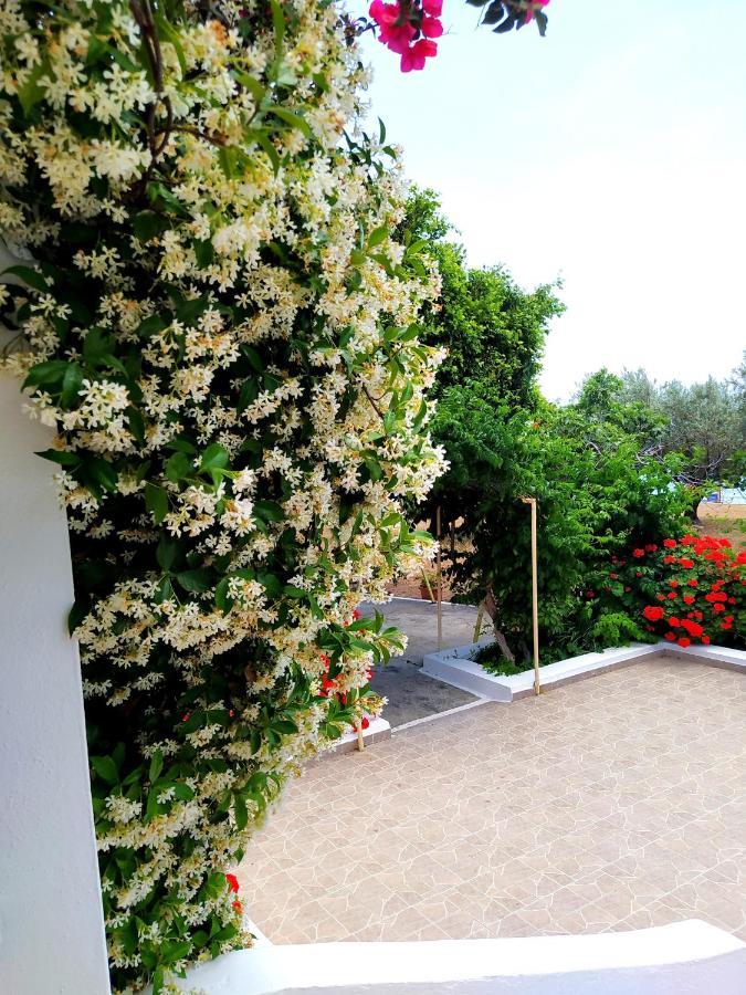 Villa Stella Family House Pefki Exterior foto